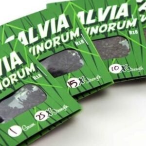 salvia divinorum seeds