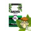 Salvia Divinorum Plant Buy - Salvia Divinorum Plant For Sale