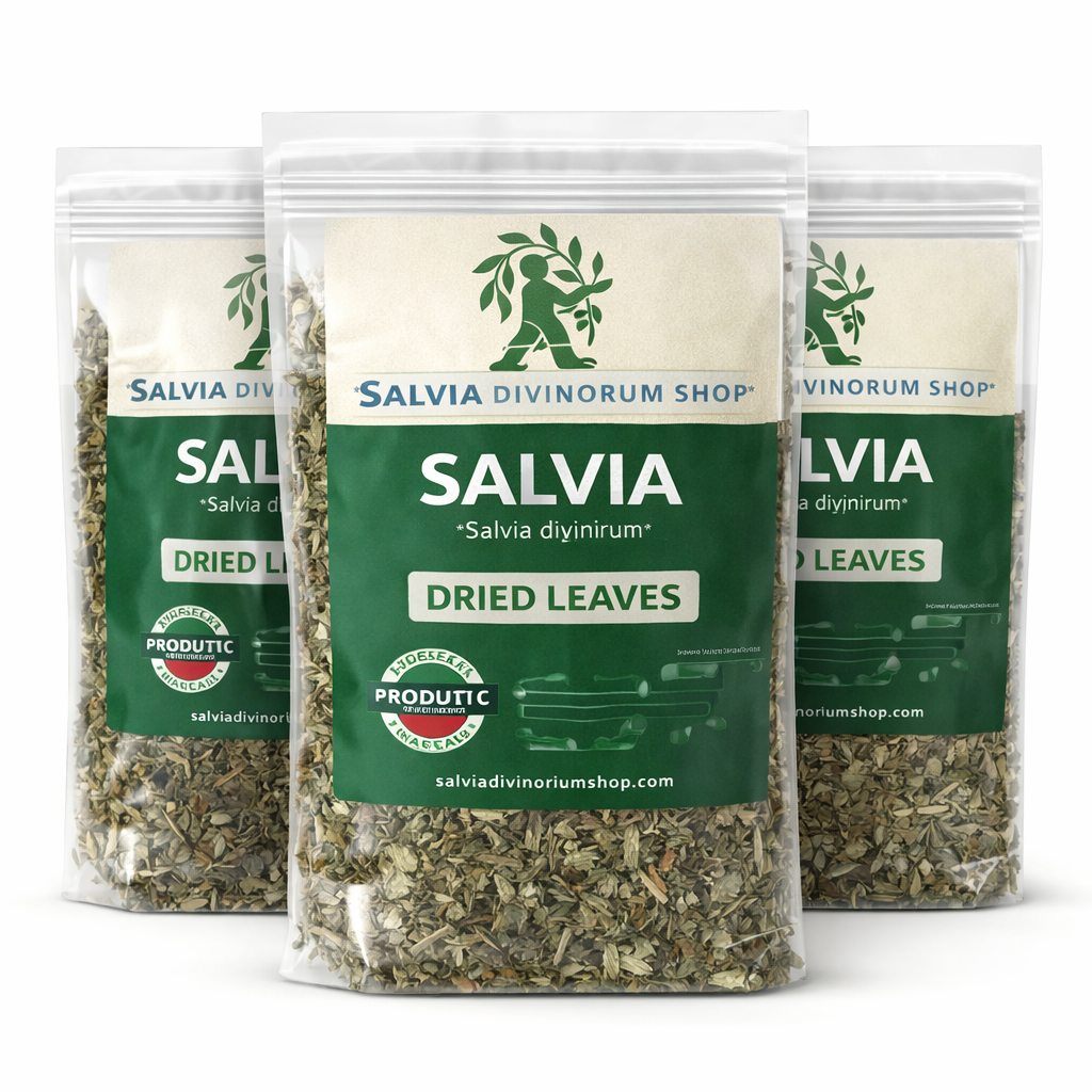 salvia divinorum dried leaves